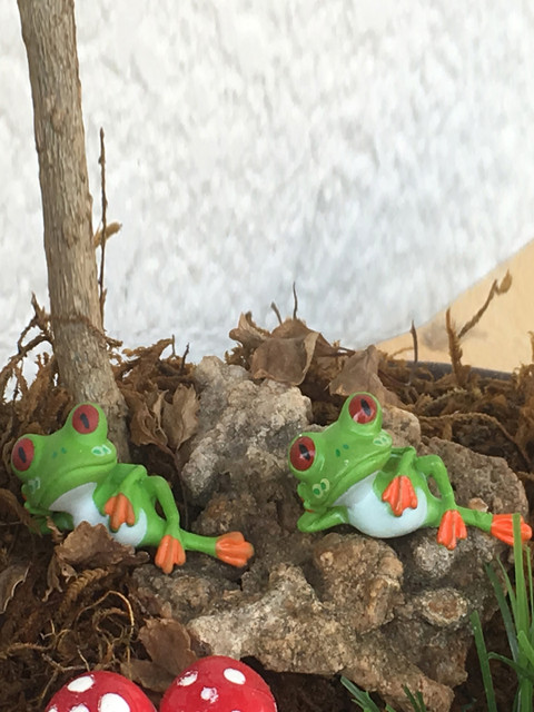 

TAYHAA Green Set of 10 Freaking Frog Garden Toy Showpiece
