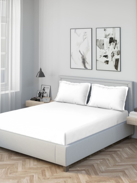 

DDecor White Solid 180 TC Cotton 1 King Bedsheet with 2 Pillow Covers