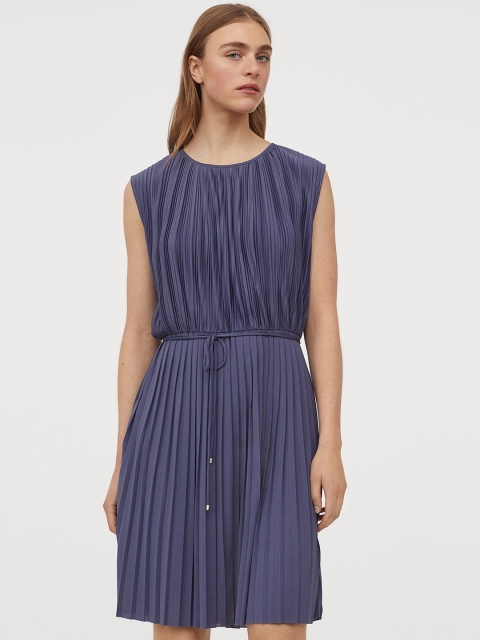 

H&M Navy Blue Pleated Dress
