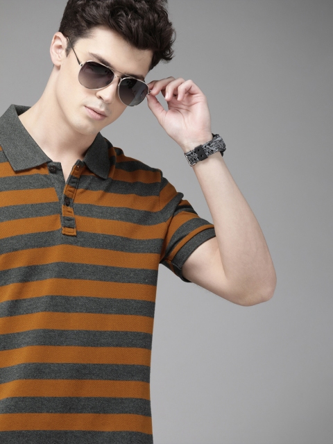 

Roadster Men Grey Brown Striped Polo Collar Pure Cotton T-shirt