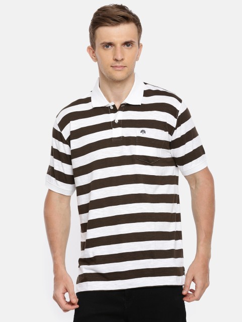 

Chennis Men White & Brown Striped Polo Collar T-shirt
