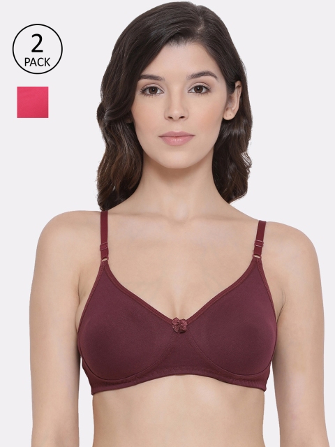 

LYRA Pack of 2 Solid Non-Wired Non Padded Everyday Bra LYRA_BRA_511_WN_FS, Maroon