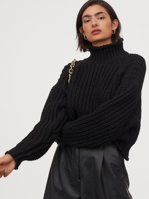 

H&M Women Black Ribbed Polo-Neck Jumper