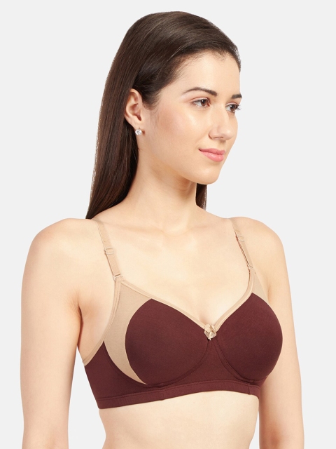 

Sonari Coffee Brown Colourblocked Non-Wired Lightly Padded Push-Up Bra carolinecoffee30B