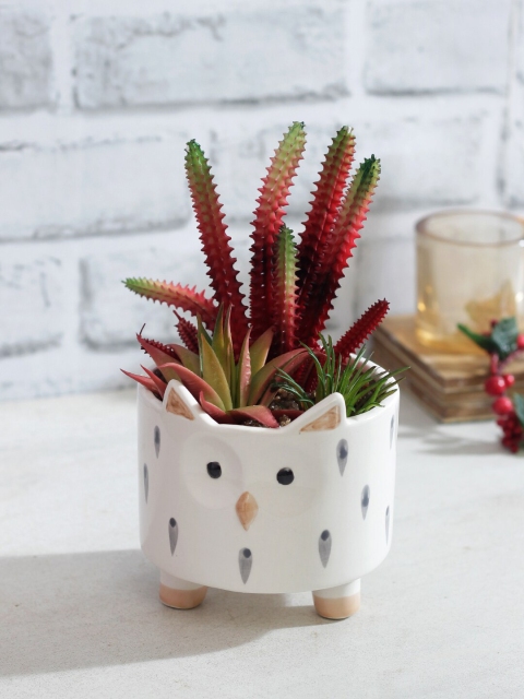 

TAYHAA Red & Green Artificial Cactus Plant With White Ceramic Pot