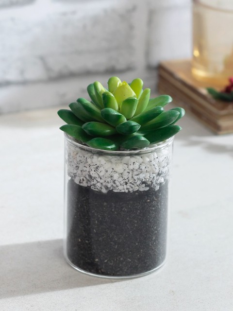 

TAYHAA Green Artificial Bonsai Plant With Transparent Pot