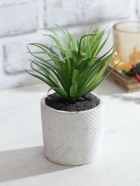 

TAYHAA Green & White Artificial Bonsai Plant With Pot