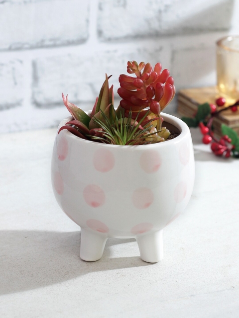 

TAYHAA Red & Green Artificial Succulent Plant With White Pot