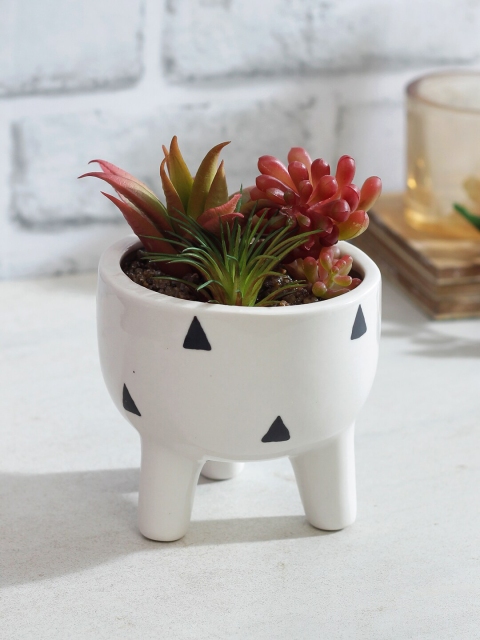 

TAYHAA Red & Green Artificial Bonsai Plant With Ceramic Pot