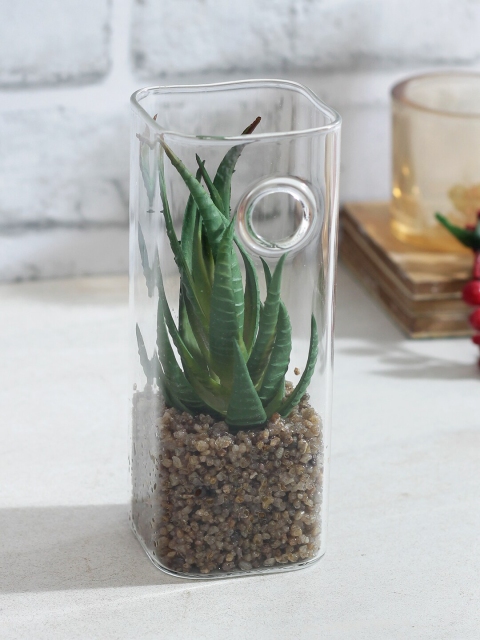 

TAYHAA Green & Transparent Artificial Plant With Pot