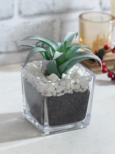 

TAYHAA Green & Transparent Artificial Bonsai Plant With Glass Pot