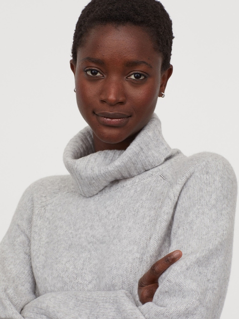

H&M Women Grey Solid Knitted Polo-Neck Dress