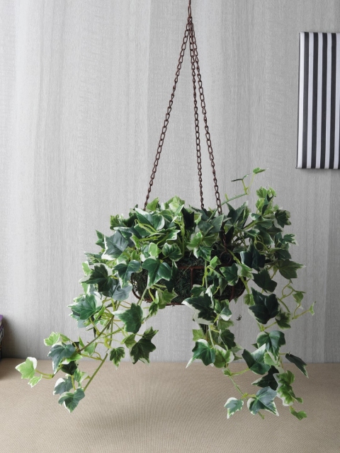 

OddCroft Unisex Green & Brown Artificial English Ivy Plant In Hanging Basket