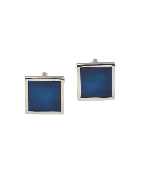 

Alvaro Castagnino Silver-Toned & Navy Cufflinks