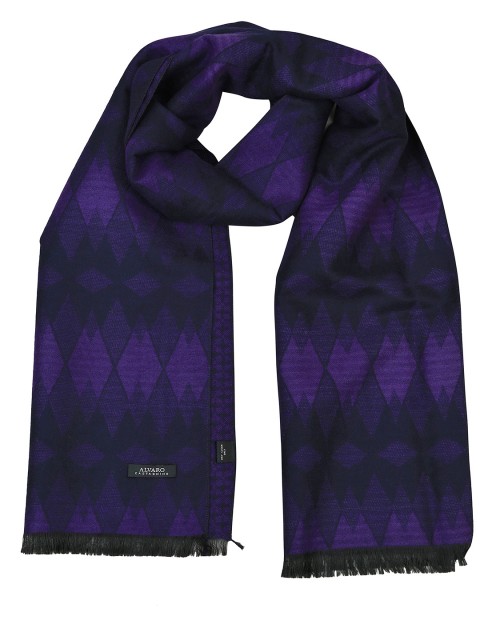 

Alvaro Castagnino Purple & Black Reversible Muffler