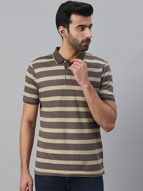 

Blackberrys Men Brown Cream-Coloured Striped Polo Collar T-shirt
