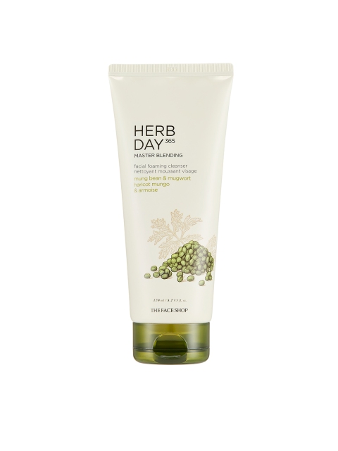 

The Face Shop Herb Day 365 Master Blending Foaming Cleanser - Mung Bean & Mugwort 170 ml, Green