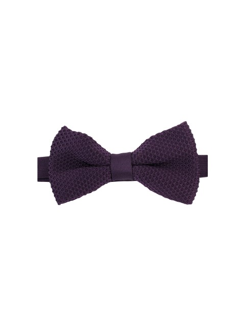 

Alvaro Castagnino Purple Bow Tie