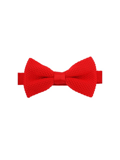 

Alvaro Castagnino Red Bow Tie