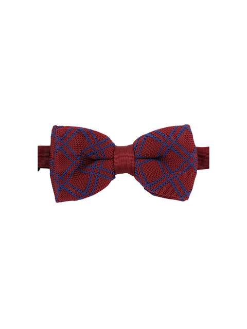 

Alvaro Castagnino Maroon & Blue Bow Tie