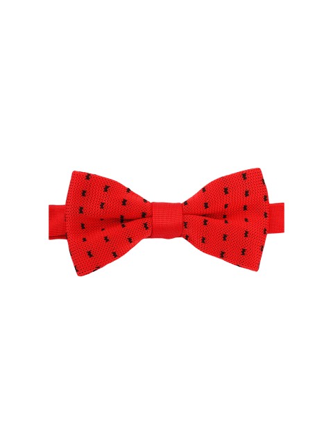 

Alvaro Castagnino Red Bow Tie