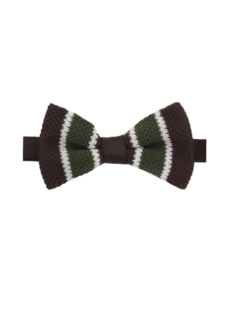 

Alvaro Castagnino Brown & Olive Green Bow Tie