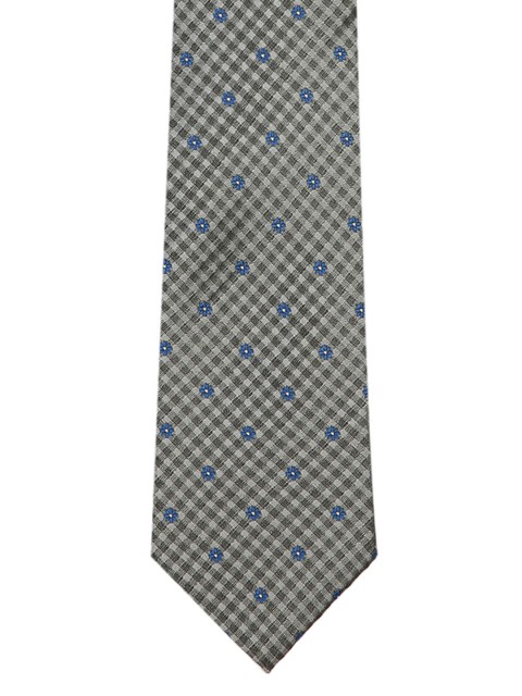 

Park Avenue Men Grey & Blue Checked Broad Tie
