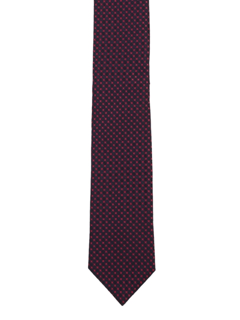

Park Avenue Men Navy Blue & Red Checked Broad Tie