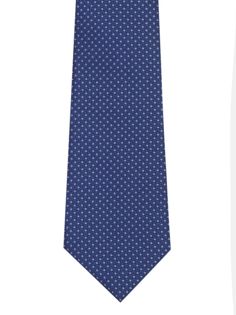 

Park Avenue Men Blue Woven Design Broad Tie