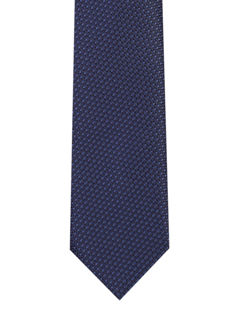 

Park Avenue Men Blue Woven Design Broad Tie