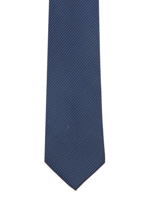 

Park Avenue Men Blue Woven Design Broad Tie