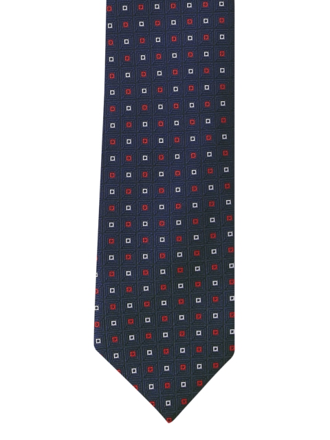

Park Avenue Men Blue & Red Printed Broad Tie