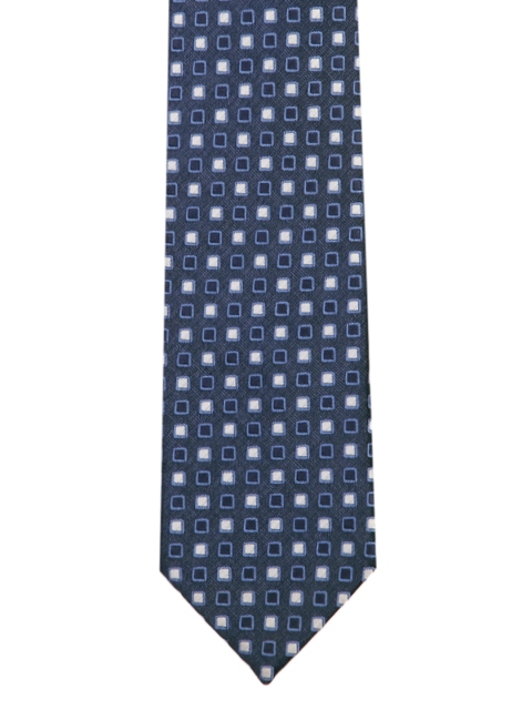 

Park Avenue Men Blue & White Woven Design Broad Tie