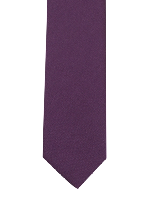 

Park Avenue Men Purple Solid Broad Tie