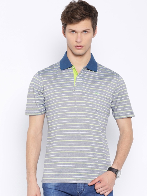 

ColorPlus Men Blue Striped Classic Fit Polo T-shirt