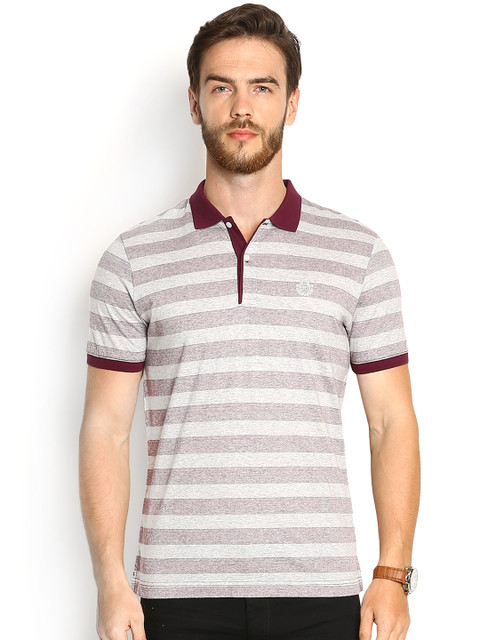 

Blackberrys Grey Striped Slim Fit Polo T-shirt