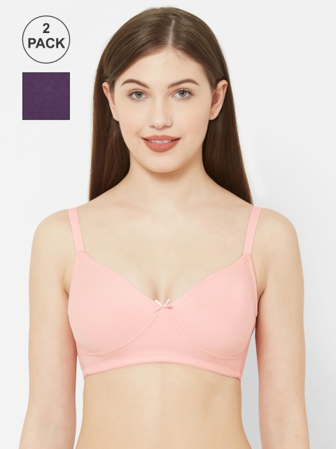 

Juliet Pink & Purple Solid Set of 2 Everyday Bra