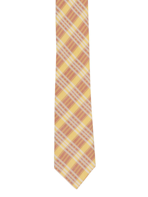 

Alvaro Castagnino Men Yellow & Brown Striped Broad Tie