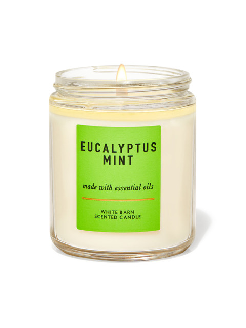 

Bath & Body Works Eucalyptus Mint Single Wick Candle, Cream