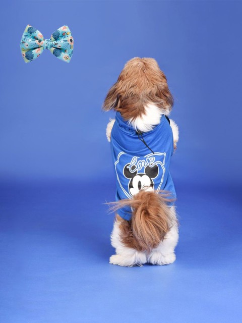 

Heads Up For Tails Blue Printed Dog TShirt