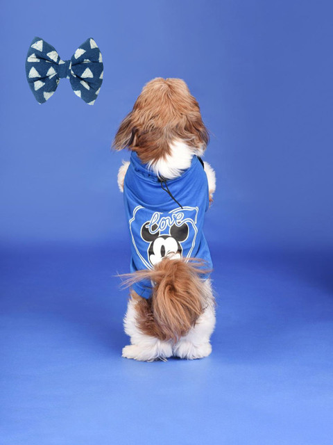 

HUFT Unisex Blue Printed Dog Shirts with Bow