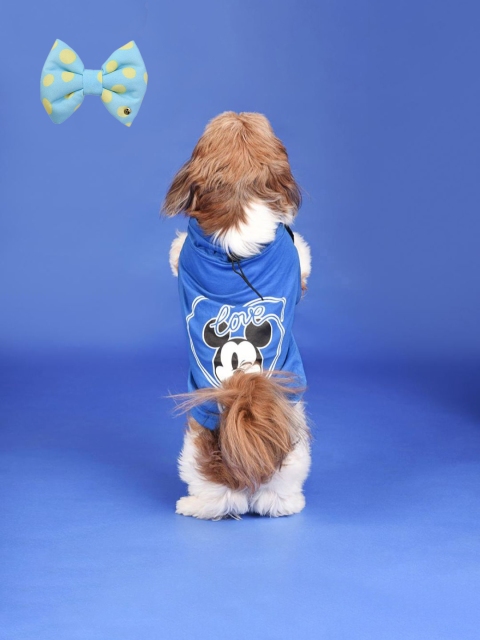 

Heads Up For Tails Blue Set Of Printed Dog T-shirt & Bow Tie