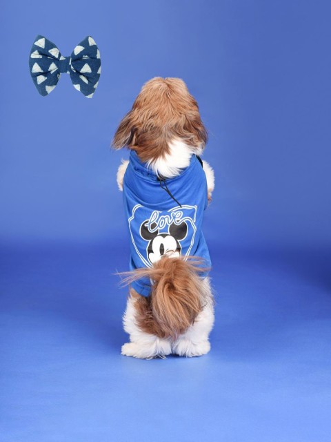 

HUFT Unisex Blue Printed Dog Shirt with Bow