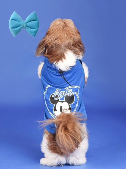 

Heads Up For Tails Blue Printed Dog T-Shirt & Bow Tie