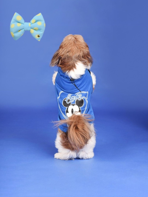 

Heads Up For Tails Blue Printed Dog Shirt