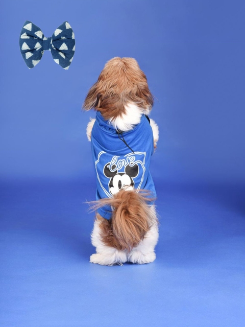 

Heads Up For Tails Dog Shirt With Bow Tie, Blue
