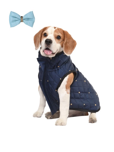 

Heads Up For Tails Navy Blue Quilted Dog Jacket & Bow Tie