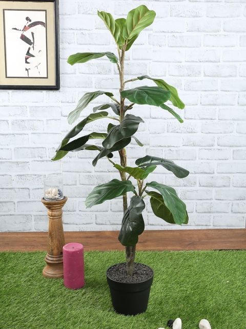 

NATURES HOME Green & Black Sustainable Artificial Fiddle Plant with Pot