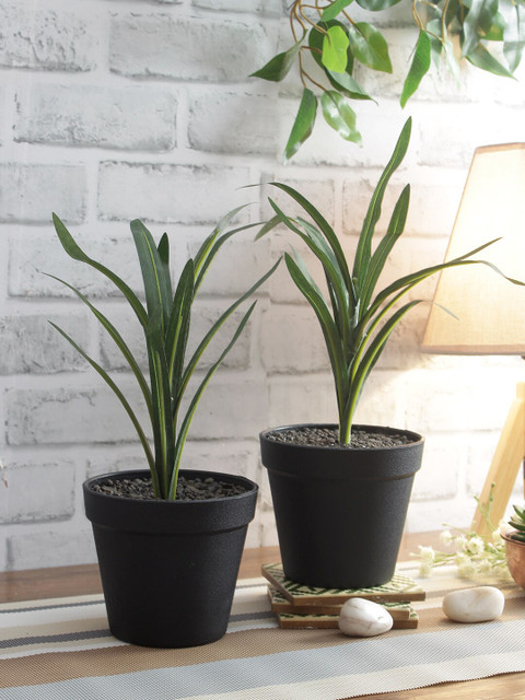 

NATURES HOME Green & Black Sustainable Leaves Bush With Pot