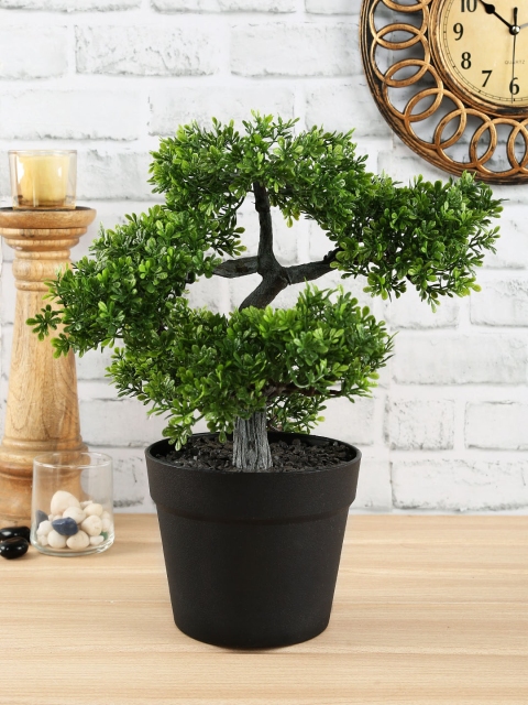 

NATURES HOME Green Bonsai Plant In Black Pot